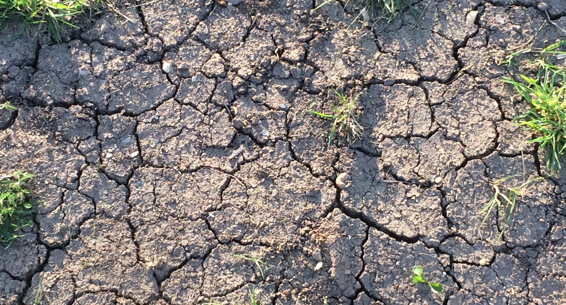 Carina Bringedal researches the instability of soils caused by evaporation of salt water. / Credits: SFB 1313 / University of Stuttgart